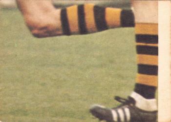 1973 Scanlens VFL #65 Garry Wilson Back